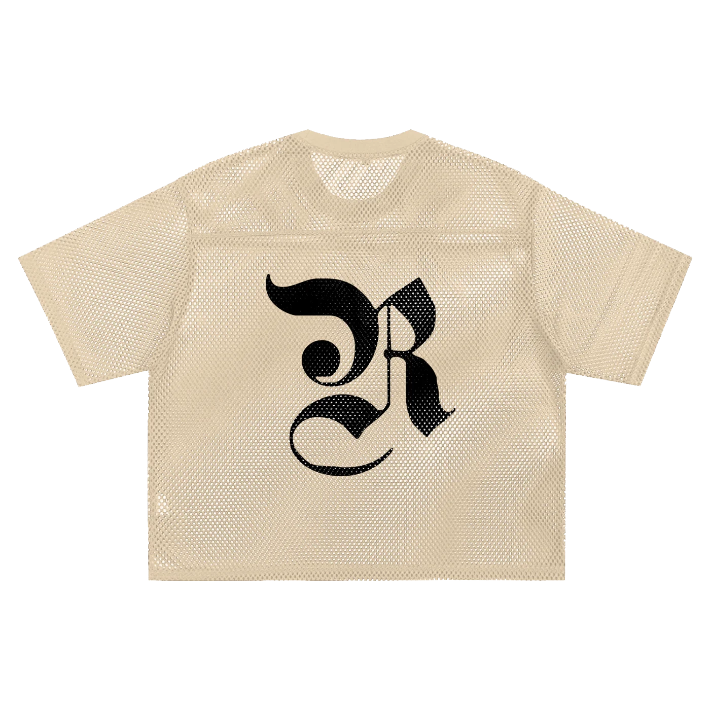 See-through Boxy Net T-Shirt - Apricot