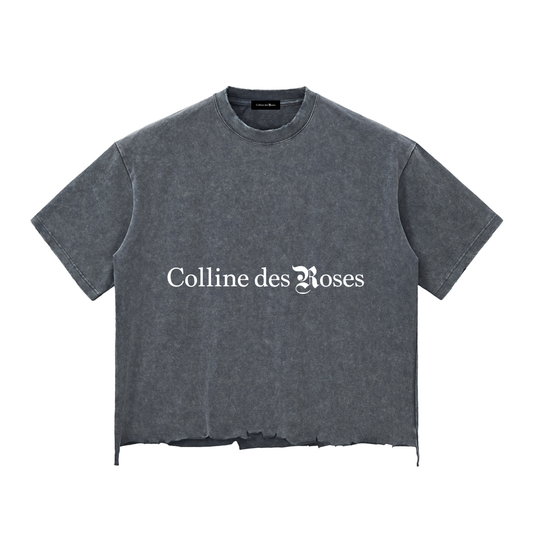 SNOW WASH RAW-HEM BOXY T-SHIRT - WASHED CEMENT GRAY