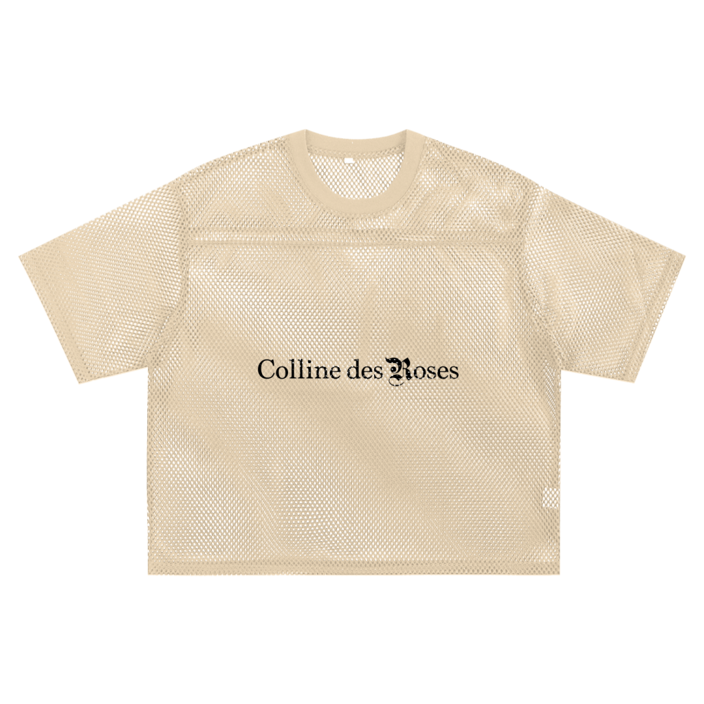 See-through Boxy Net T-Shirt - Apricot