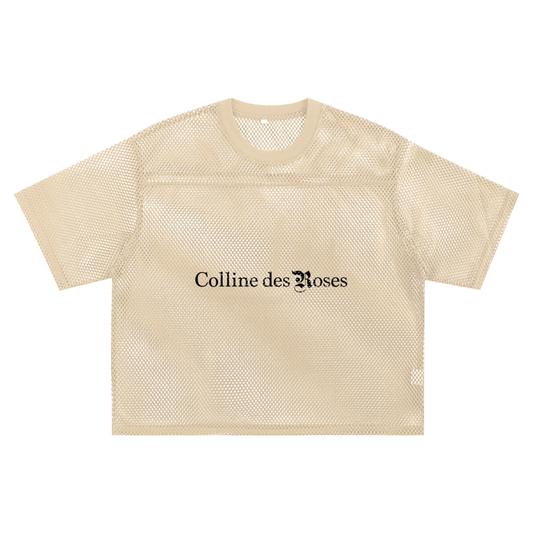 See-through Boxy Net T-Shirt - Apricot