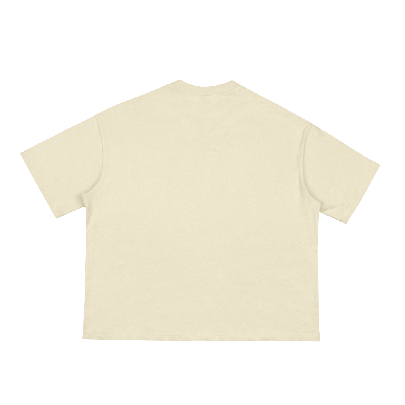 Classic Loose Boxy Tee - Apricot