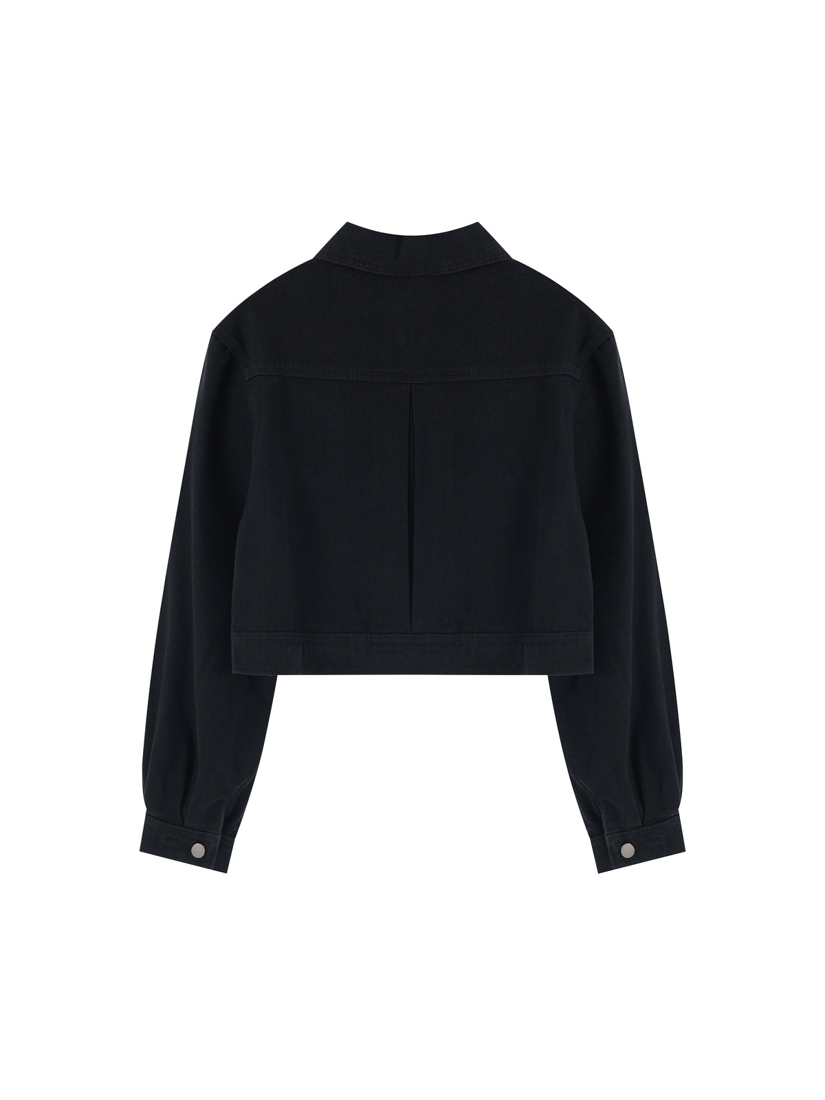 A black cropped jacket with long sleeves and a high mock neck, shown from the back on a plain white background.